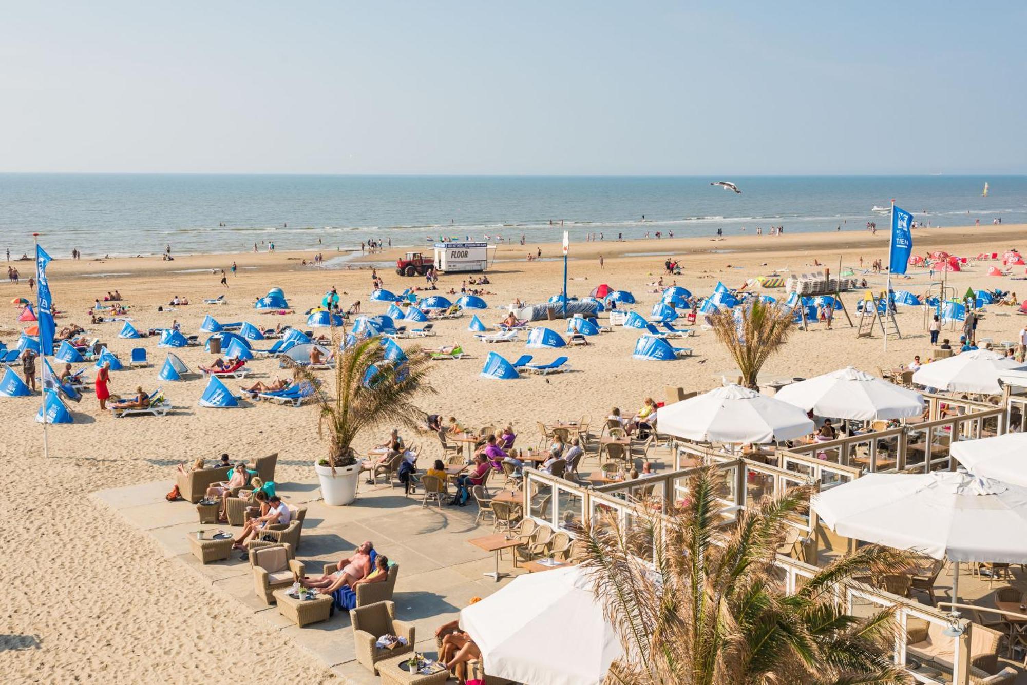 Sand & Dunes Apartment Zandvoort Eksteriør bilde